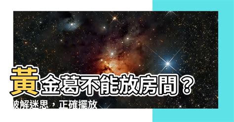 黃金葛可以放房間嗎|【黃金葛可以放房間嗎】黃金葛可以放房間嗎？室內植物擺放禁忌。